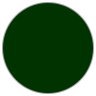 Metallic Dark Green