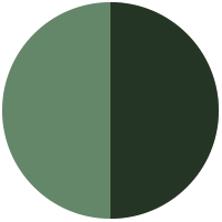 Military Green (Gloss)- Metallic Dark Green (Matte)