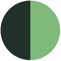Infinity Green Carbon View (Matt-Gloss)