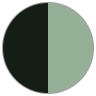 Metallic Dark Green (Gloss)- Lichen Green (Matte)