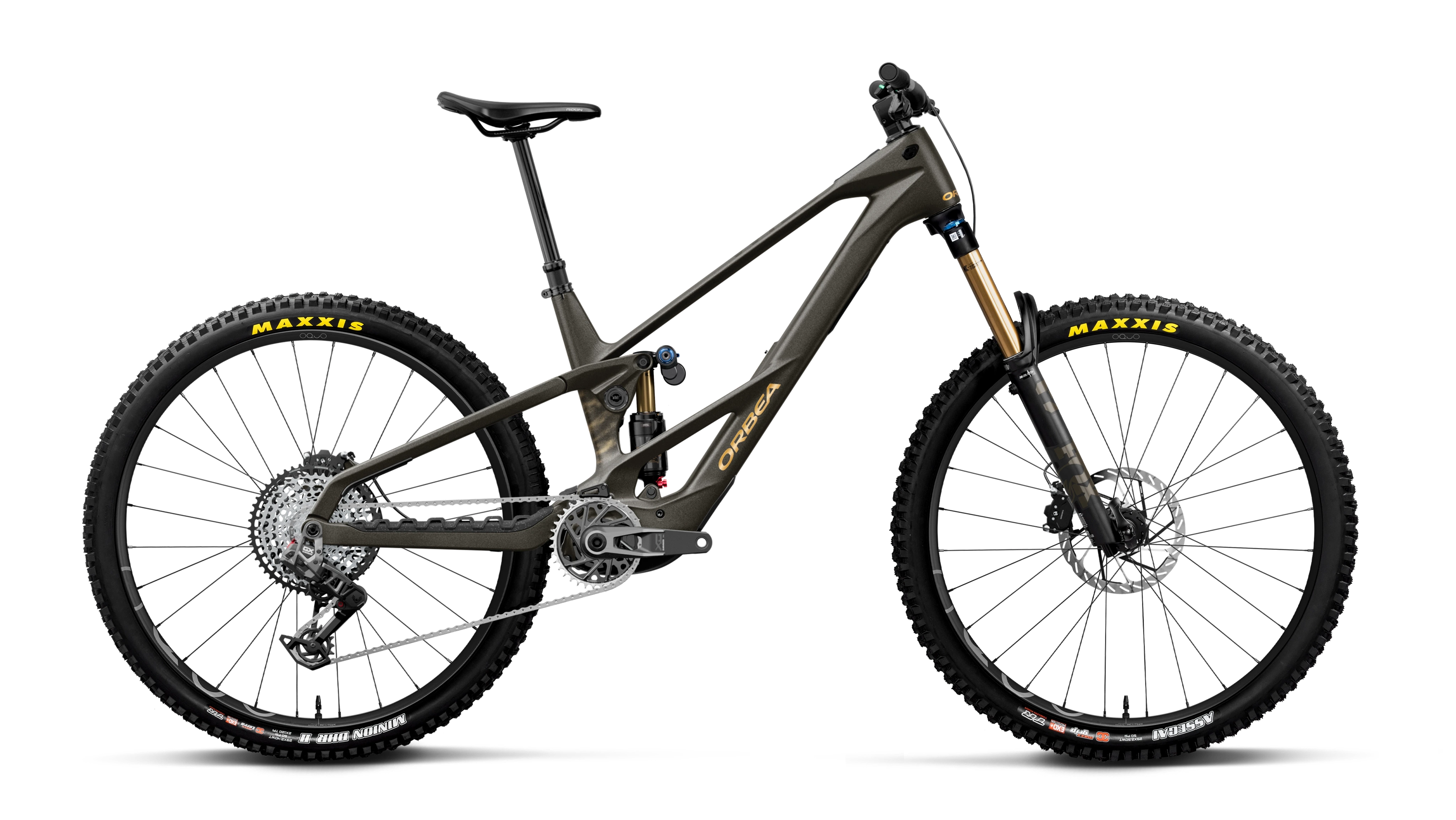 Wild LT M-TEAM RS – Magic Gold C. View (Matt) - Titan Gold (Gloss)