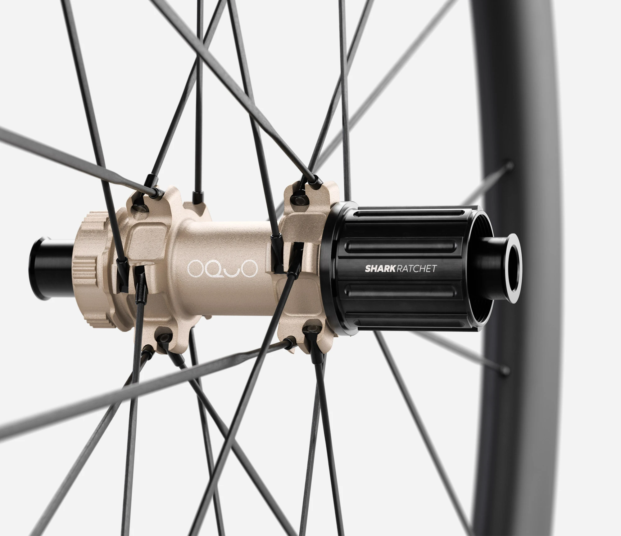 RP50LTD CS Shimano HG Set | Orbea