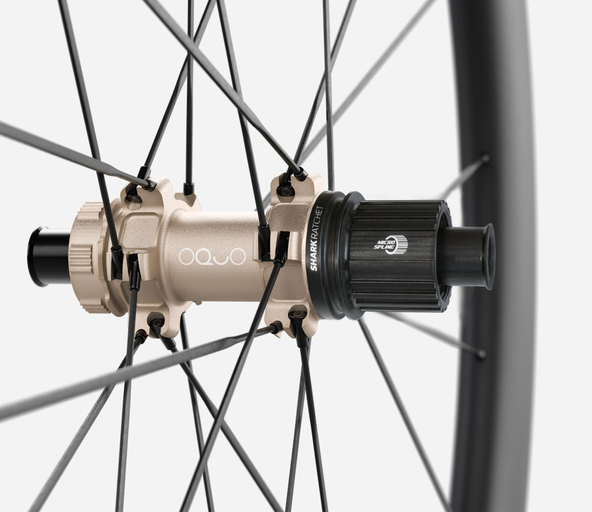 RP50LTD CS Shimano MS Rear | Orbea